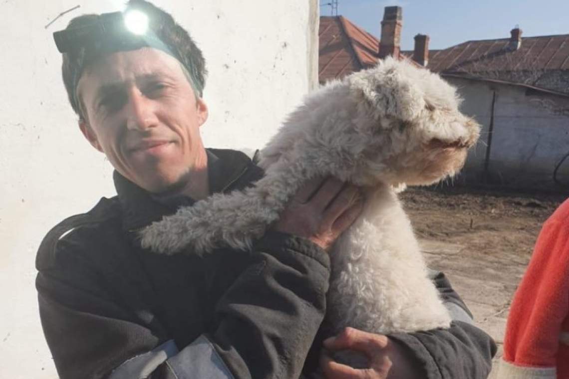 VIDEO| Brici, cățelul neastâmpărat salvat de pompierii prahoveni