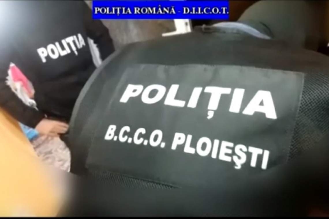 VIDEO| Un prahovean arestat în urma perchezițiilor la membrii unei grupări implicate în trafic internaționale de droguri de risc și mare risc