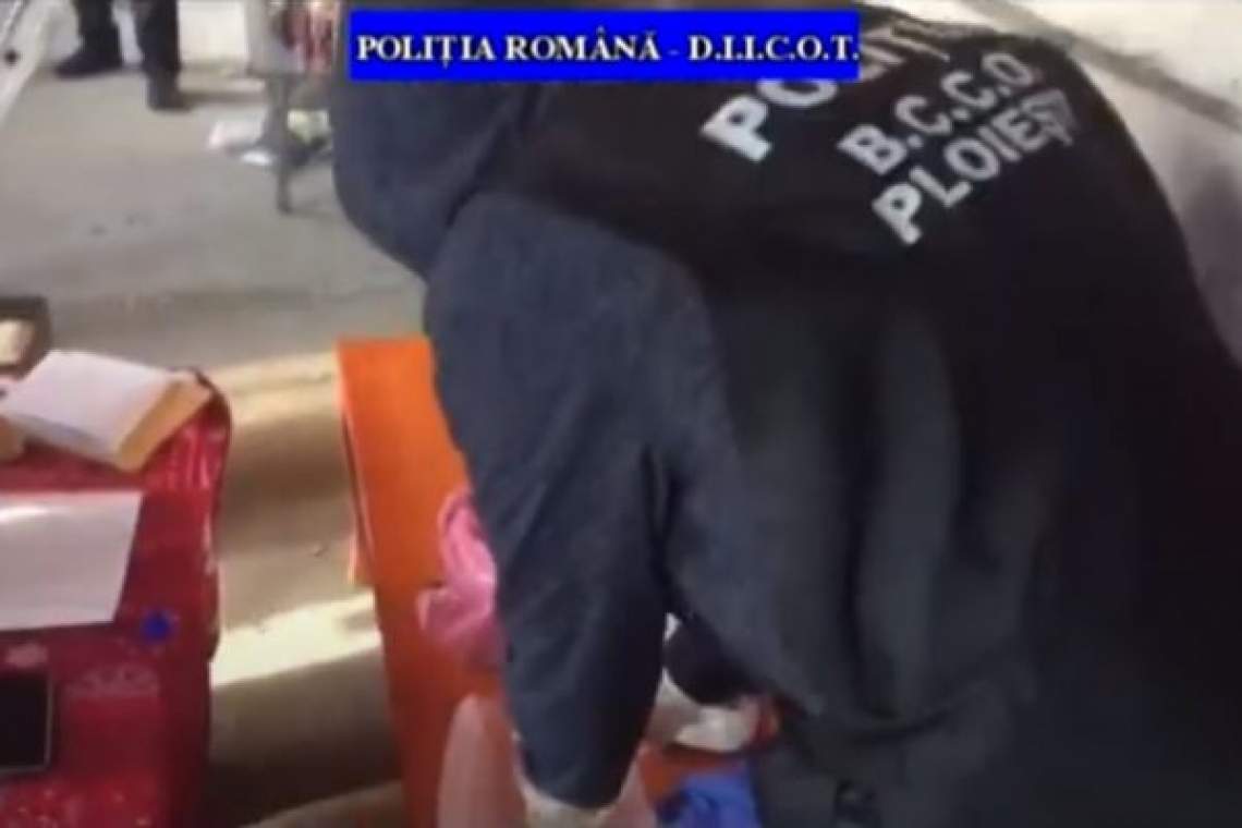 VIDEO| Percheziții în Ploiești la traficanții de droguri