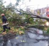 Doi copaci căzuți în urma furtunii din Ploiești! Unul a retezat o țeavă de gaze