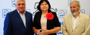Partidul Puterii Umaniste propune modificarea legii dialogului social. Grațiela Gavrilescu: Astăzi, asistăm, în cele mai multe cazuri, la indeplinirea unei formalități si... atât