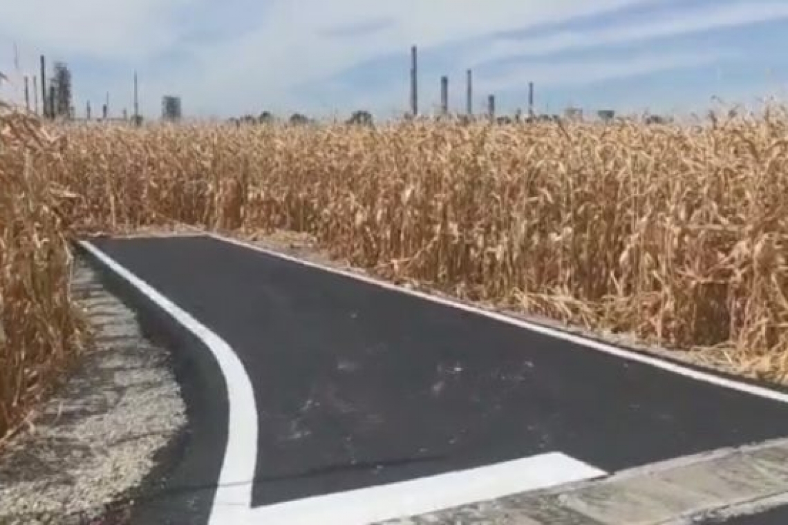 VIDEO| Un drum dintr-o comună din Prahova se oprește în  lanul de porumb