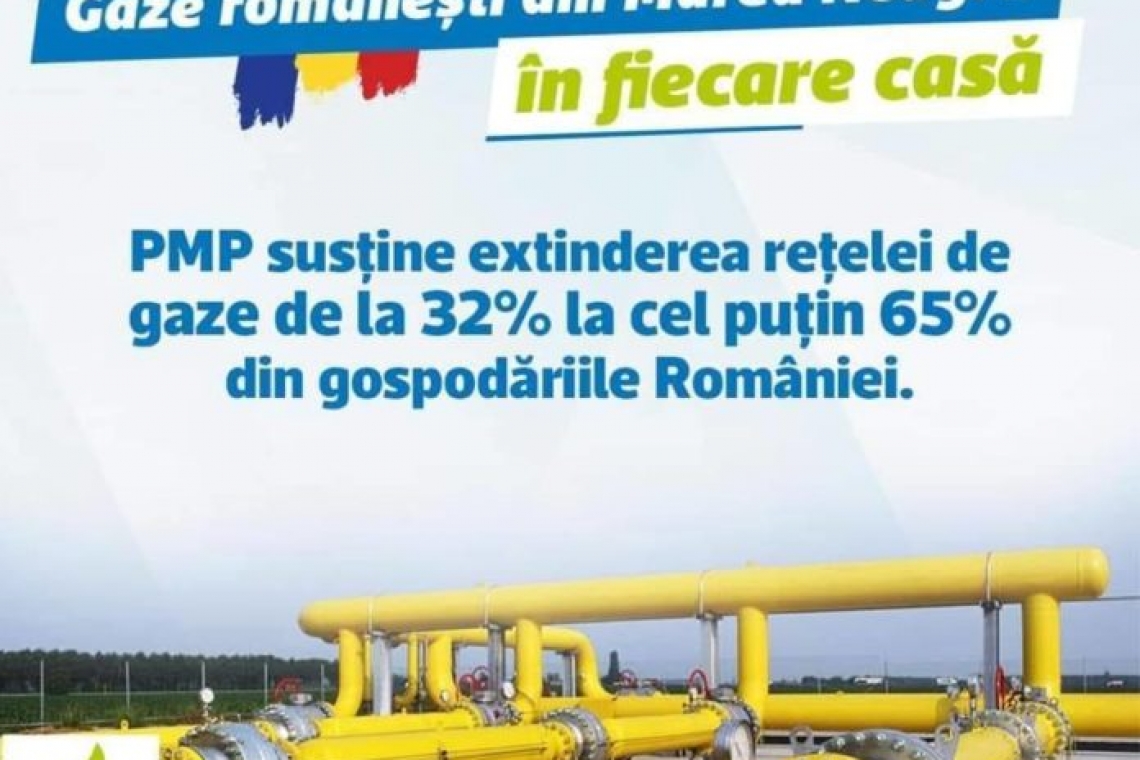 Deputatul Cătălina Bozianu: PMP este singura formațiune care propune un program realist și coerent de extindere a rețelei naționale de gaze