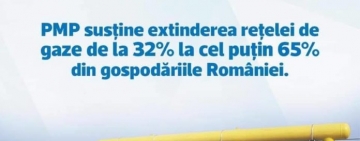 Deputatul Cătălina Bozianu: PMP este singura formațiune care propune un program realist și coerent de extindere a rețelei naționale de gaze