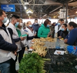 Cătălina Bozianu, președinte PMP Prahova: Stop închiderii piețelor! Statul nu are voie să-i pedepsească pe români pentru propria-i incompetență! 