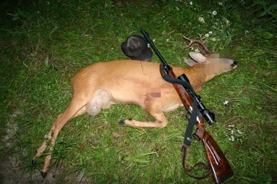 Prahovean acuzat de braconaj. Acesta ar fi omorât un căprior