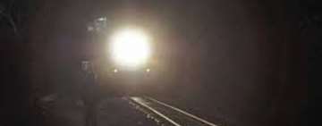 Tragedie în zona Gării Ploiești Vest! Un cioban și o turmă de oi au fost loviți în plin de un tren