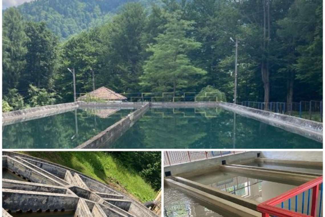 HIDRO PRAHOVA SA – Buletin informativ privind calitatea apei în Prahova,   emis în 29 octombrie 2021