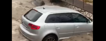 Luat de ape cu maşină cu tot. Povestea tănărului teribilist