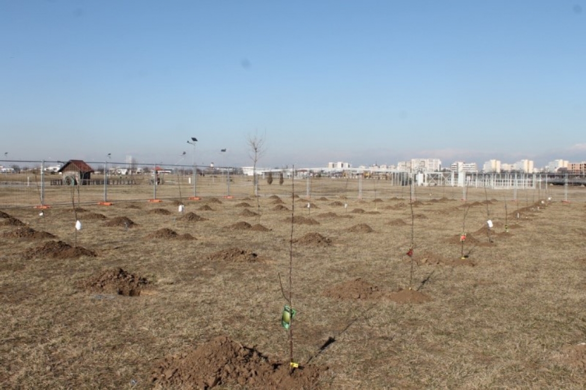 “Livada didactică” în Parcul Municipal Vest