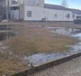 Teren inundat cu produse petroliere, în cartier Albert. Conducta aparține Conpet