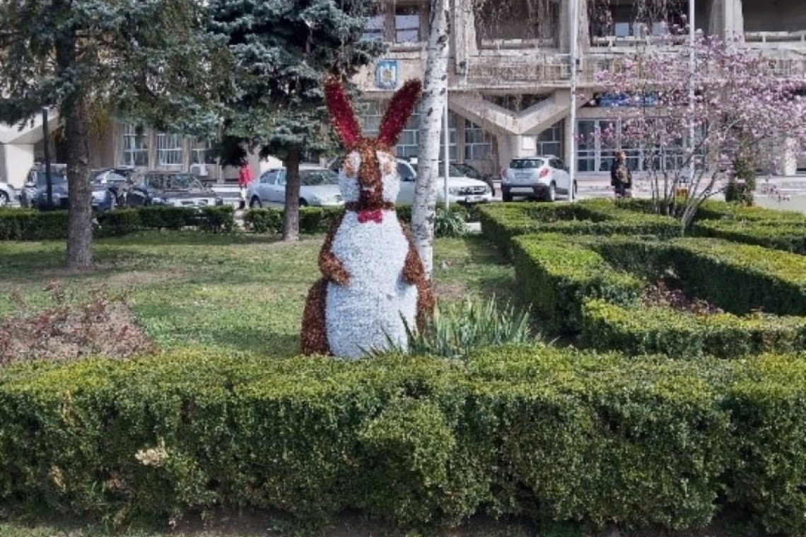 FOTO Au apărut iepurașii de Paște în Ploiești 