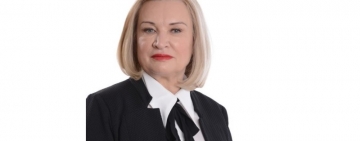 Deputatul PSD Prahova, Rodica Paraschiv:Cazul podului de peste Siret care s-a prăbușit  trebuie să fie un semnal de alarmă 