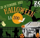 O seară ”de groază” la Zoo Bucov