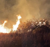 Ard 50 de hectare de vegetație uscată la Tohani! ISU Prahova:  Intervenția este dificilă