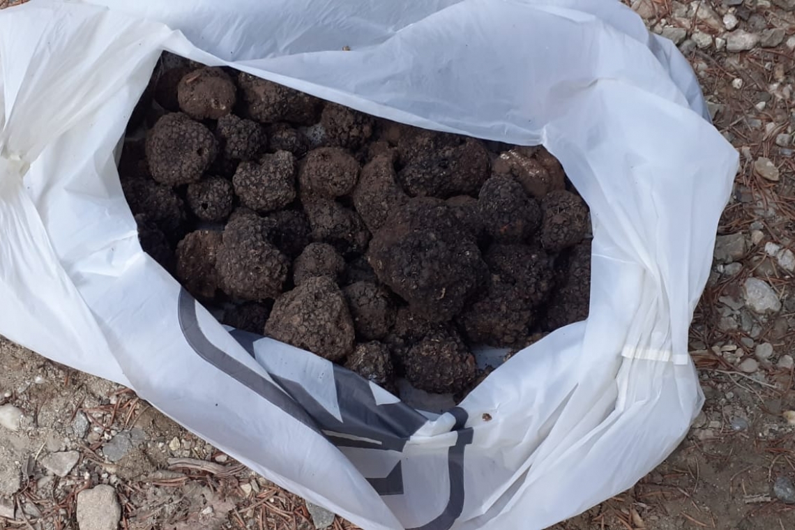 Un român și un italian depistați de jandarmii montani prahoveni cu...."diamantele Pământului"