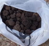 Un român și un italian depistați de jandarmii montani prahoveni cu...."diamantele Pământului"