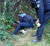 Bătrână dată dispărută, găsită de polițiști într-o pădure din Prahova