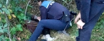 Bătrână dată dispărută, găsită de polițiști într-o pădure din Prahova