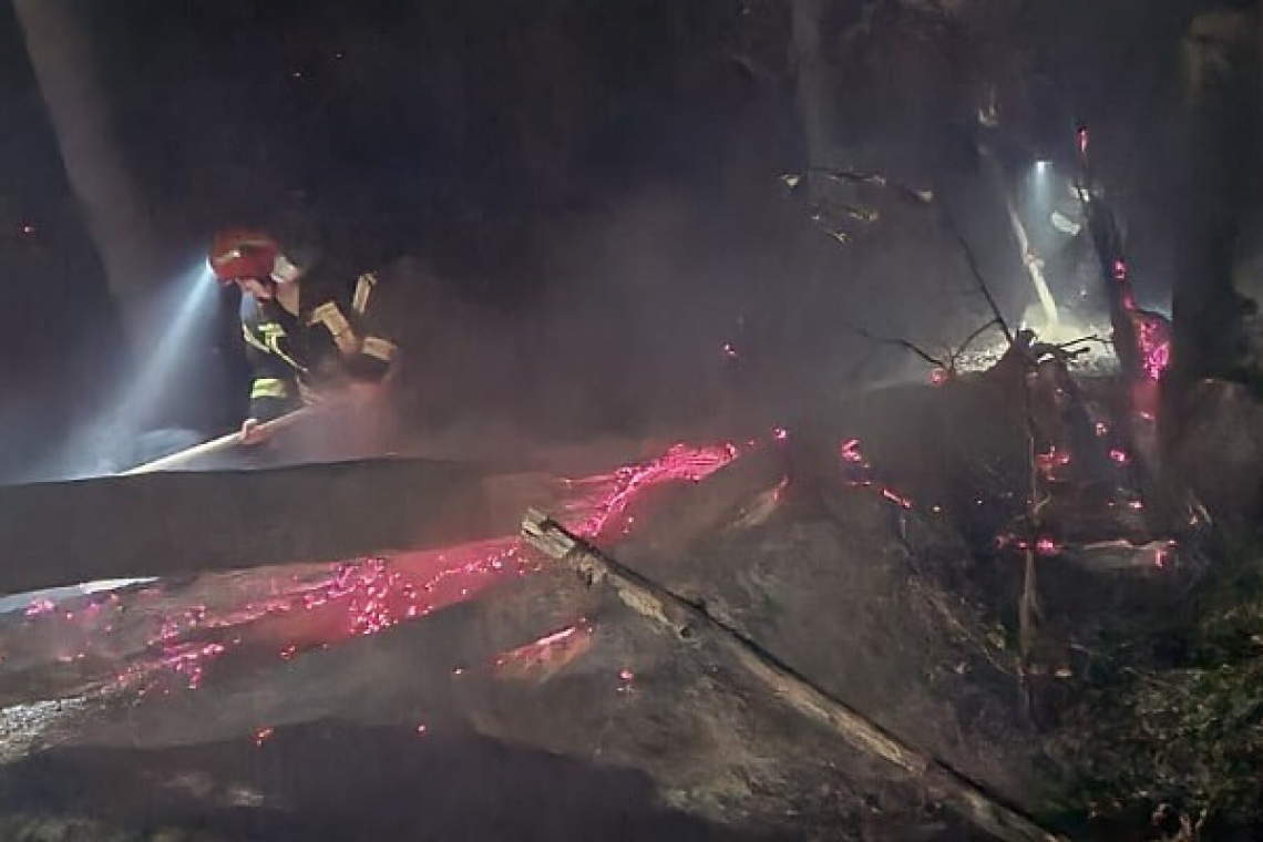 Incendiu în pădurea din Șoimari 