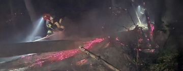 Incendiu în pădurea din Șoimari 