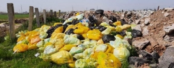 Nereguli găsite la firmele de colectare a deșeurilor periculoase și nepericuloase din Prahova 