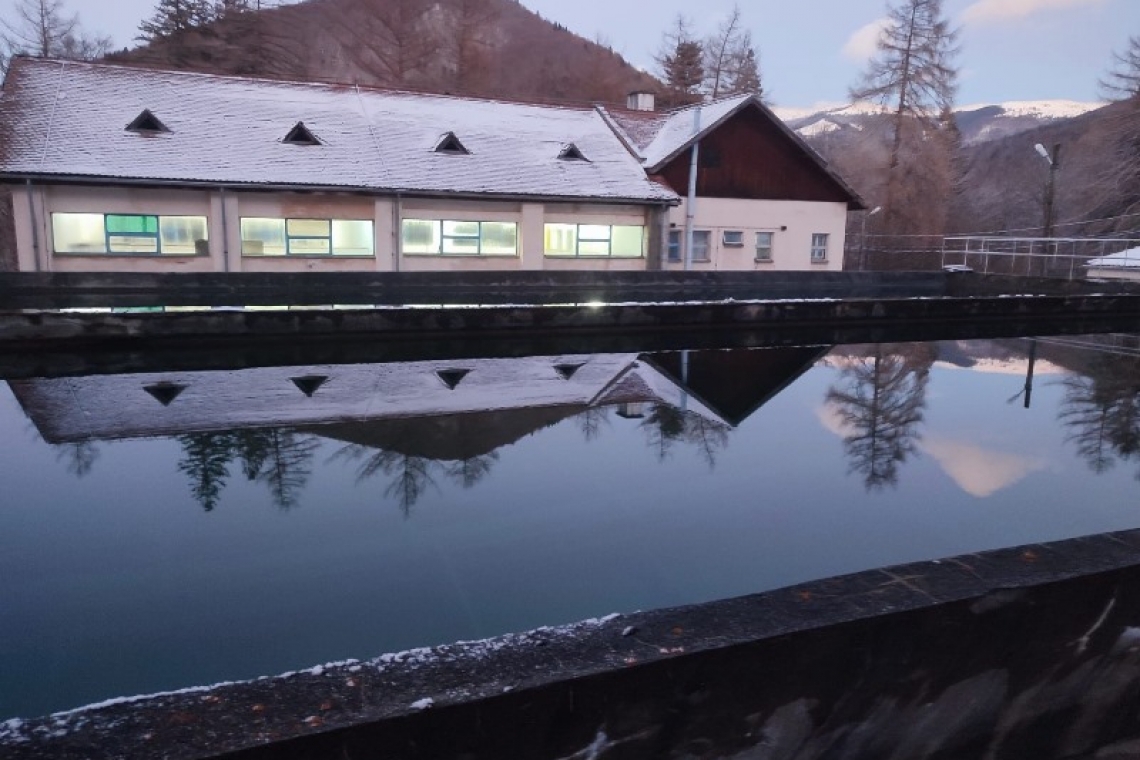 HIDRO PRAHOVA SA – Buletin informativ privind calitatea apei în Prahova, emis în data de 25 noiembrie 2022