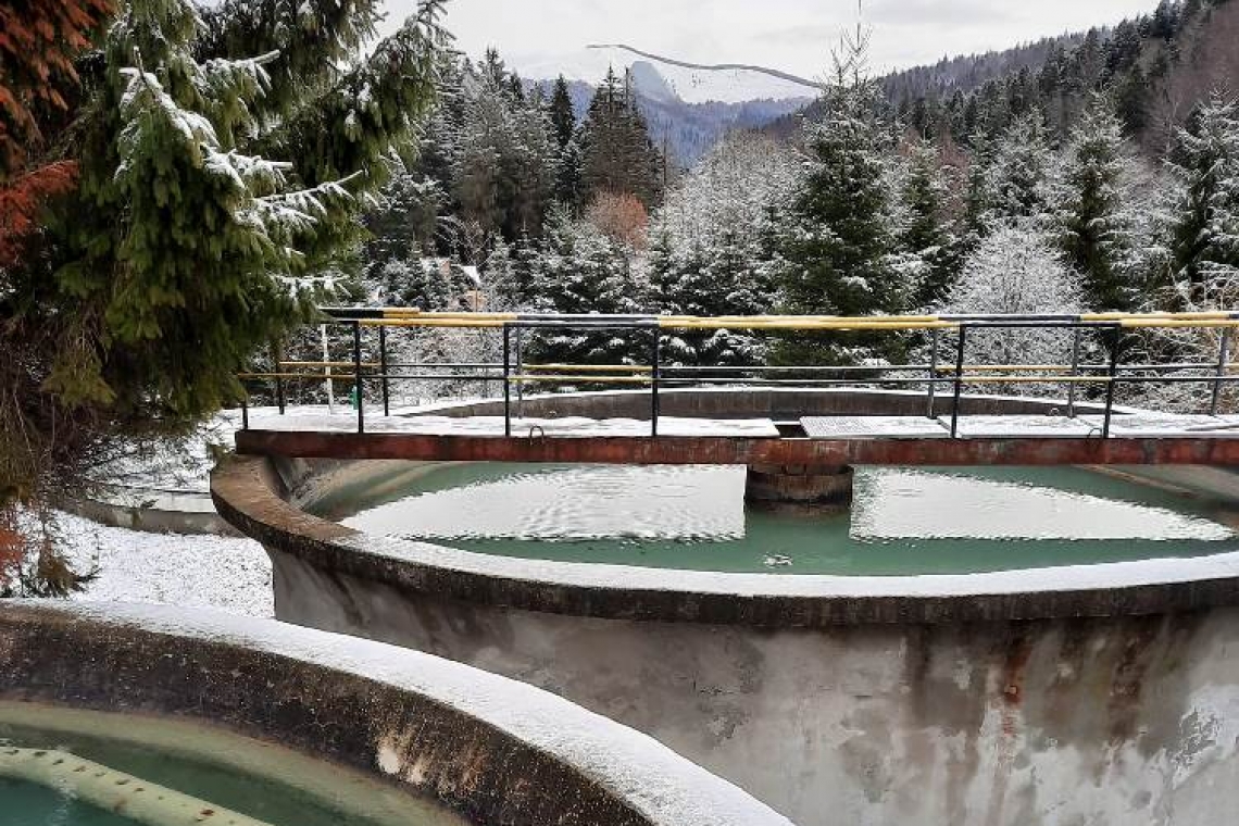 HIDRO PRAHOVA SA – Buletin informativ privind calitatea apei în Prahova, emis în data de 13 ianuarie 2023