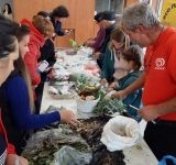 Grupul ”Semințe cu Suflet” vine la Ploiești. Se oferă gratuit semințe de legume autentice
