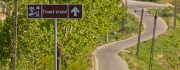 Pistă de biciclete pe ”Drumul lui Bachus” din Prahova