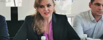 De ce  primarul Andrei Volosevici nu este exclus din PNL. Explicația Robertei Anastase