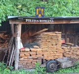 Percheziții în Vălenii de Munte la persoane bănuite de tăiere ilegală de arbori