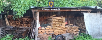 Percheziții în Vălenii de Munte la persoane bănuite de tăiere ilegală de arbori