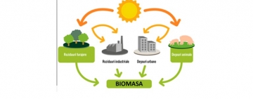 Puterea Naturală a Viitorului - Cum producem energie din Biomasa pentru un mediu sănătos și un viitor durabil
