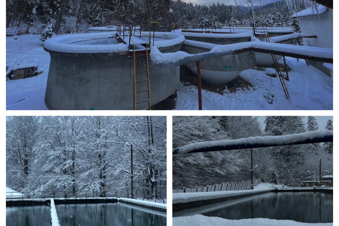 HIDRO PRAHOVA SA – Buletin informativ privind calitatea apei în Prahova, emis în data de 02 februarie 2024