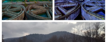 Recepția parțială și demararea procedurii de contractare pentru racordarea la canalizare pentru investiția „Extindere rețea de canalizare în orașele Câmpina, Bănești și Vălenii de Munte, județul Prahova” (CL8 fazat)   