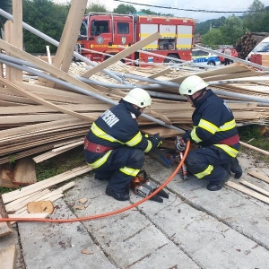 schela prabusita (3)