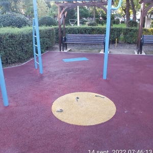 parc_vandalizat_cameliei3