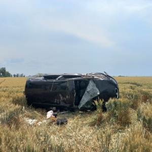 WhatsApp Image 2023-06-10 at 12.36.23