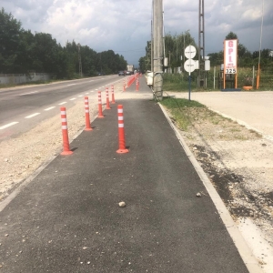boldesti (5)